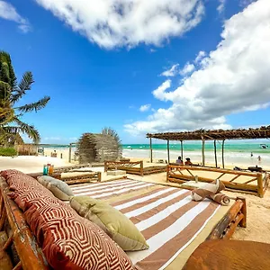 **** Hotel Alito Mexico
